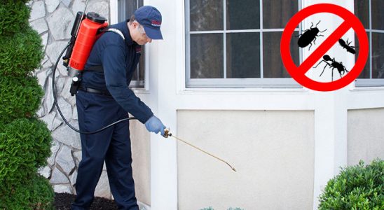 Akkışla Akrep İlaçlama böcek ilaçlama ve haşere kontrolü — ilaclama-tr.com